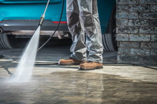Boat and Dock Cleaning in Palm Springs North, FL
